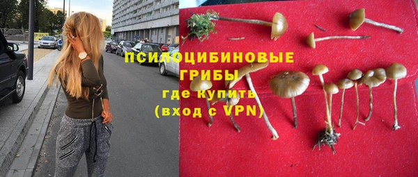 бутират Майский