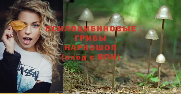 марки nbome Магадан