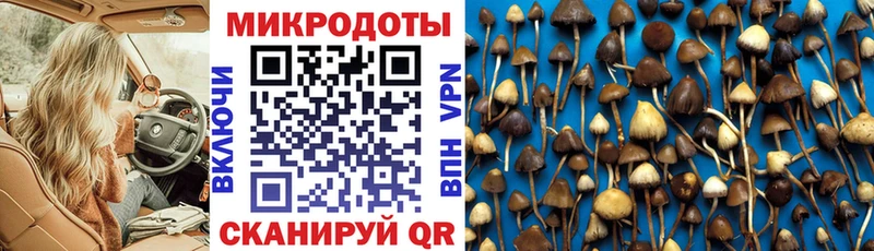 Галлюциногенные грибы Magic Shrooms Пермь