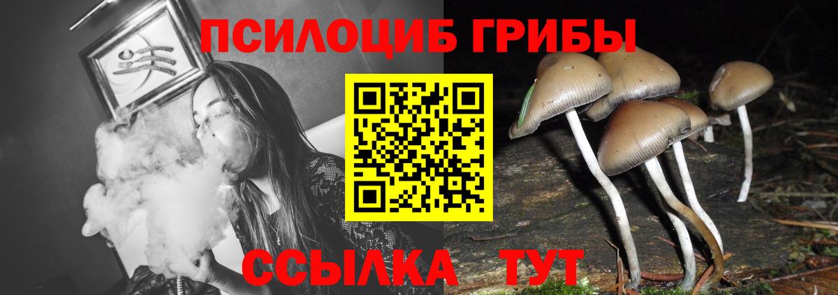 Псилоцибиновые грибы Psilocybe  Вход с VPN  Галлюциногенные грибы GOLDEN TEACHER  Пермь 
