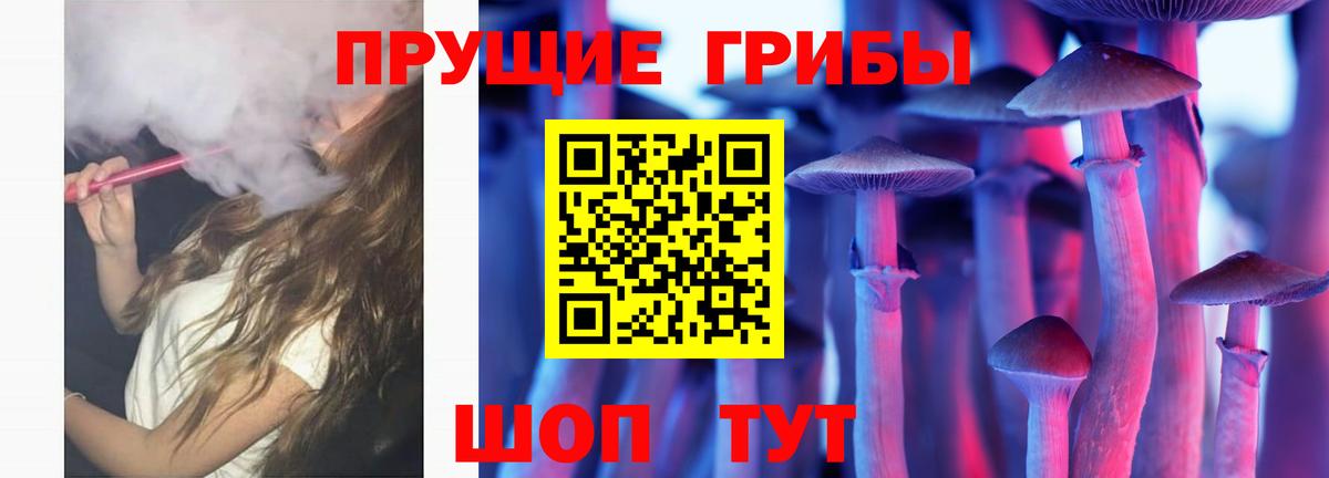 Псилоцибиновые грибы мицелий Пермь